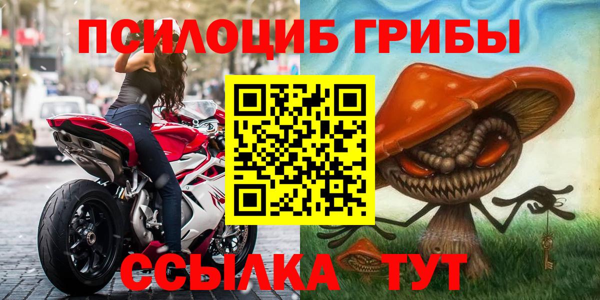Псилоцибиновые грибы GOLDEN TEACHER  купить закладку  Бор  Вход с VPN 